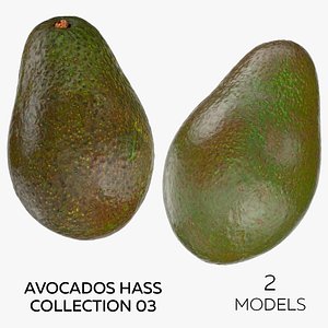 3D Avocados Hass Collection 03 - 2 models model