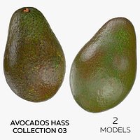 Avocados Hass Collection 03 - 2 models