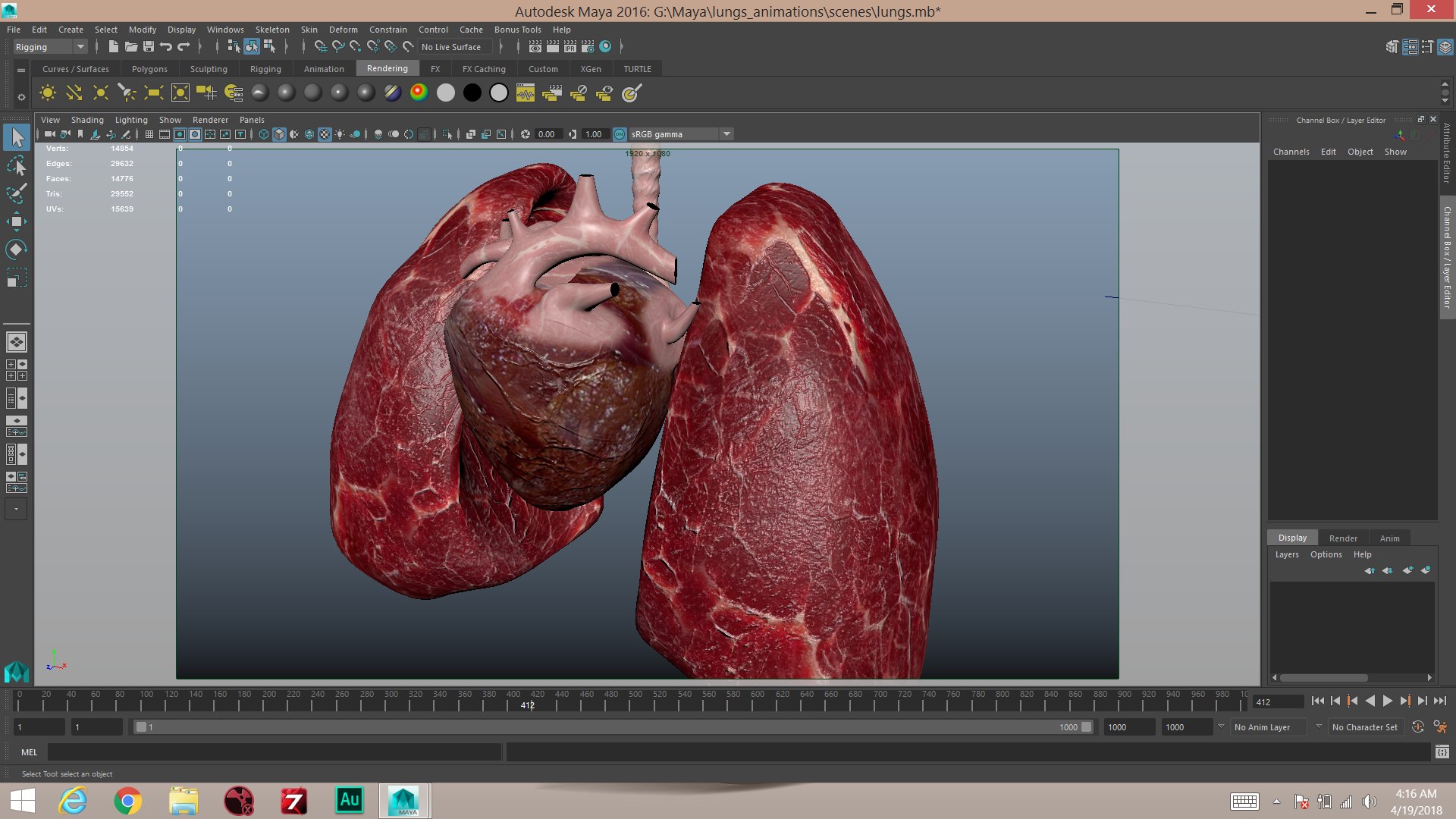 3D heart lungs https://p.turbosquid.com/ts-thumb/Q5/qxkxDf/UVXUOzx6/screenshot32/png/1524136749/1920x1080/fit_q87/14b783a6ee8858ce24220667c11eb7e5cfc489f9/screenshot32.jpg