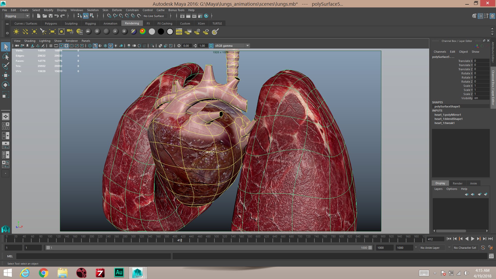 3D heart lungs https://p.turbosquid.com/ts-thumb/Q5/qxkxDf/vJORg103/screenshot31/png/1524136725/1920x1080/fit_q87/f8717a3ea1d3c249da3ba44dd12ecc9dc366245f/screenshot31.jpg