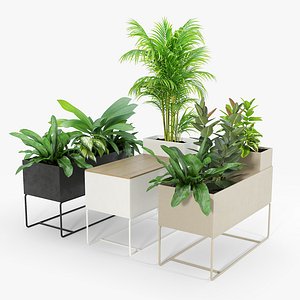 3D bush flowerpot indoor