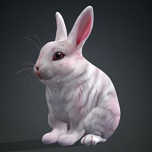 Rabbit-A1 3D model