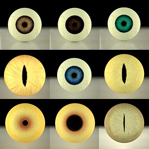 maya 9 eyes
