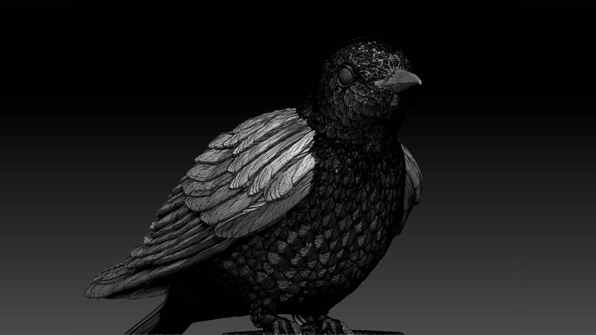 3D model cuckoo https://p.turbosquid.com/ts-thumb/Q6/9zZpxM/0S/56775467/jpg/1629288884/1920x1080/fit_q87/e454c85c9fb5e26acb84359bc127ea8fd5d390db/56775467.jpg