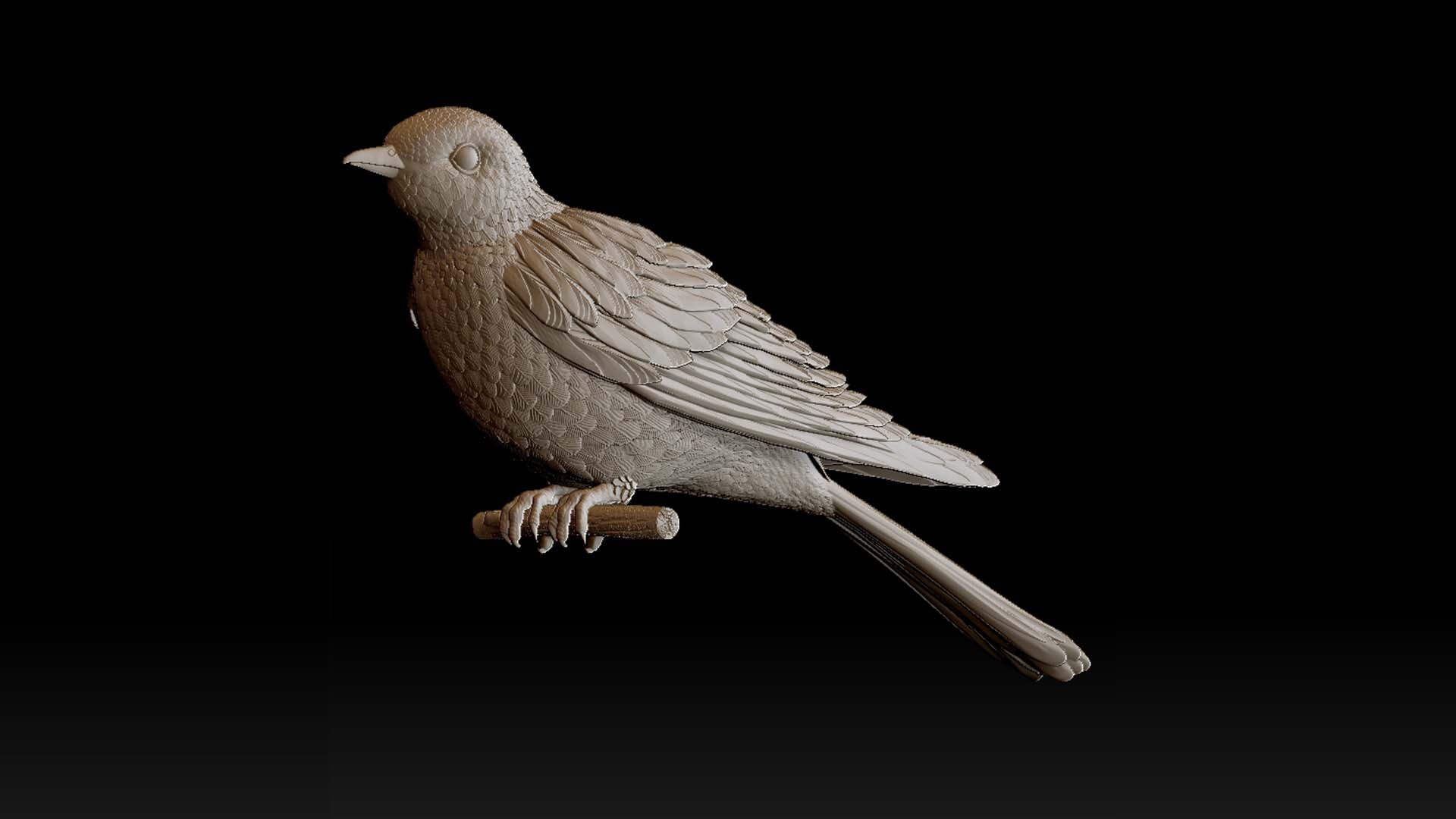 3d модель птицы. Pigeon stylized.