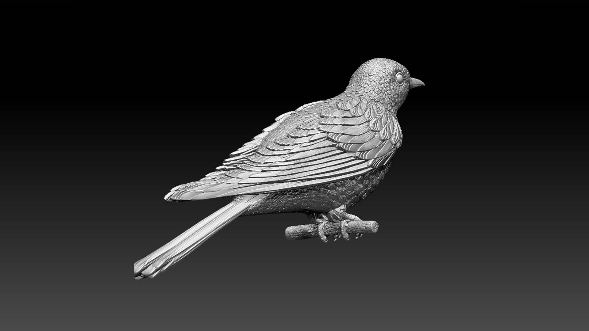 3D model cuckoo https://p.turbosquid.com/ts-thumb/Q6/9zZpxM/kK/654645/jpg/1629288883/1920x1080/fit_q87/98db3e9b857cd81a23d4531da18c43e295cdc182/654645.jpg