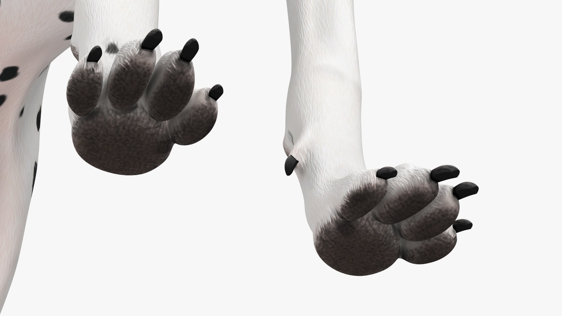 Dalmatian Dog Rigged for Cinema 4D 3D model https://p.turbosquid.com/ts-thumb/Q6/BPgdAr/8E/dalmatiandogriggedforcinema4dmb3dmodel034/jpg/1720557010/1920x1080/fit_q87/98be2324d7339c7293515725c0dbcc088387492f/dalmatiandogriggedforcinema4dmb3dmodel034.jpg