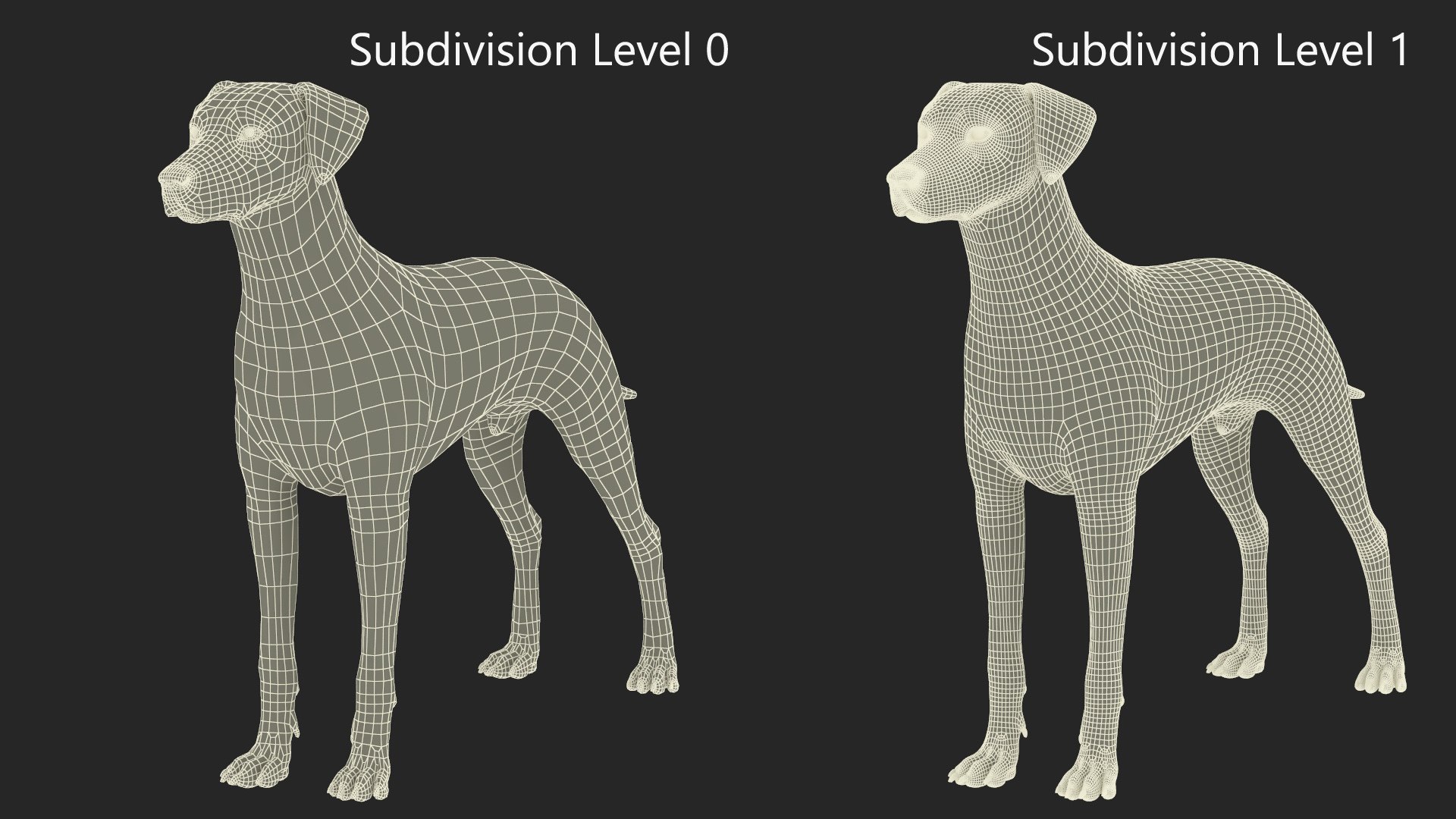 Dalmatian Dog Rigged for Cinema 4D 3D model https://p.turbosquid.com/ts-thumb/Q6/BPgdAr/Iv/dalmatiandogriggedforcinema4dmb3dmodel036/jpg/1720557017/1920x1080/fit_q87/c186bec68751bc928ec2581c7f09abee16580bd0/dalmatiandogriggedforcinema4dmb3dmodel036.jpg