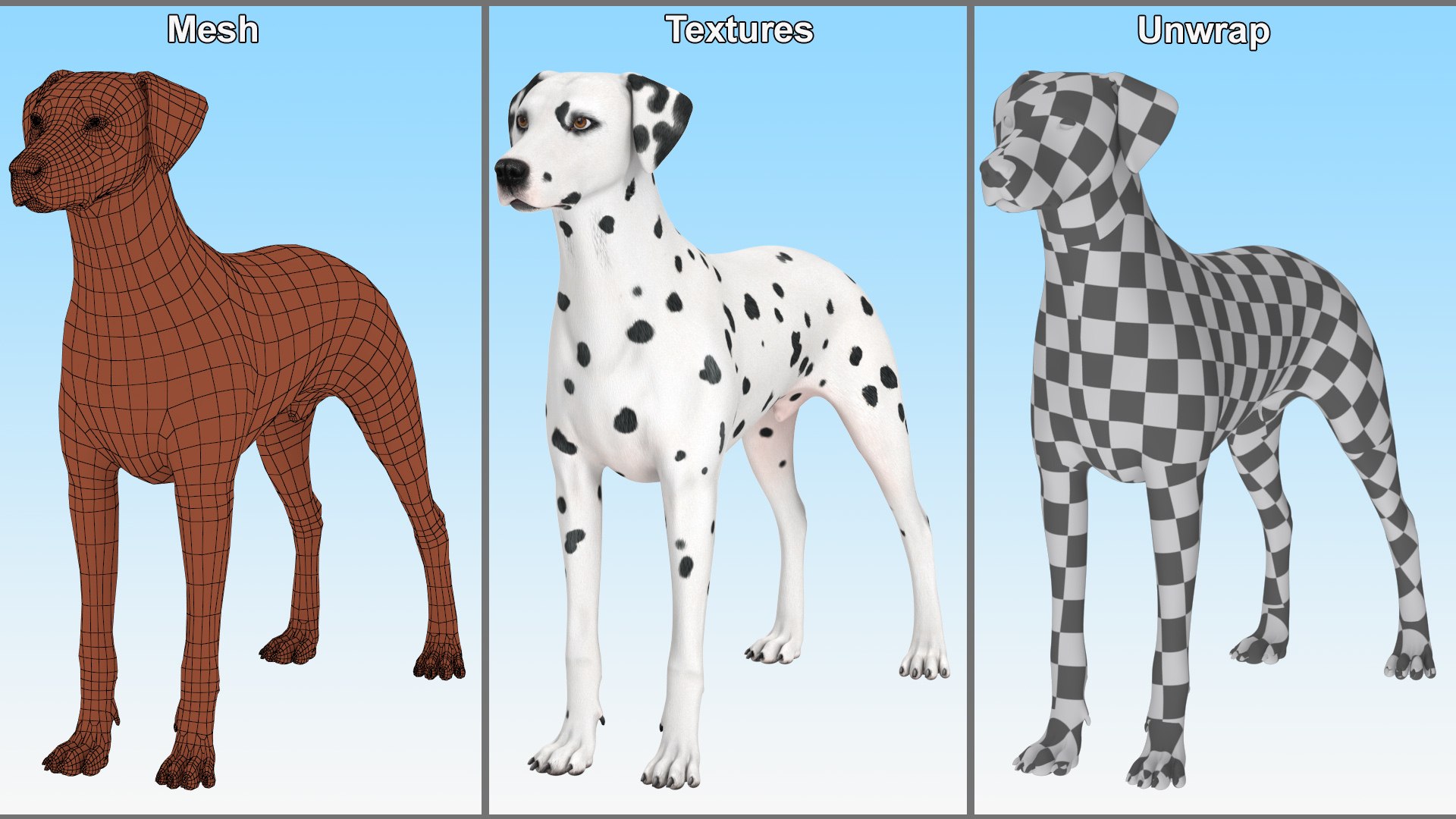 Dalmatian Dog Rigged for Cinema 4D 3D model https://p.turbosquid.com/ts-thumb/Q6/BPgdAr/MA/dalmatiandogriggedforcinema4dmb3dmodel035/jpg/1720557014/1920x1080/fit_q87/10c6bf50e3dab5036c64991e1621a6d87ec7fca3/dalmatiandogriggedforcinema4dmb3dmodel035.jpg
