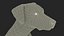 Perro dálmata preparado para Cinema 4D