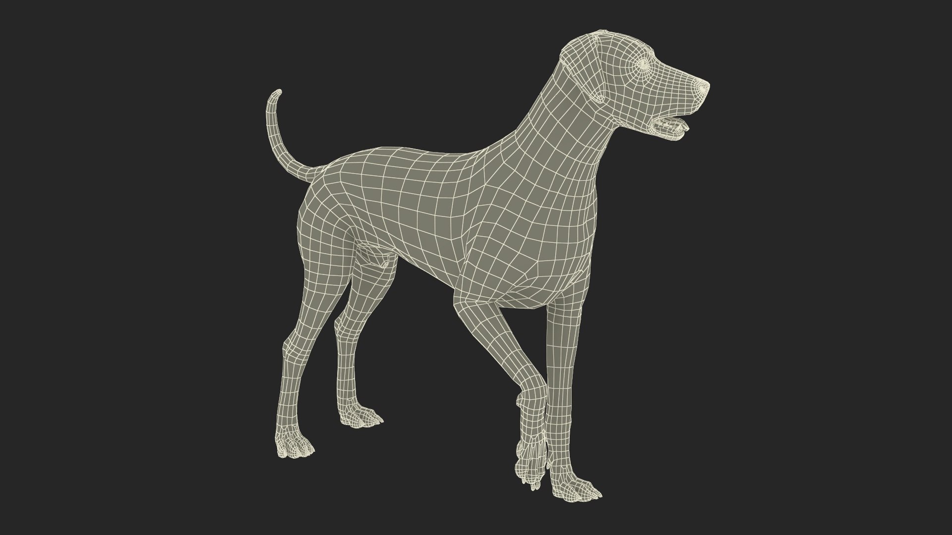 Dalmatian Dog Rigged for Cinema 4D 3D model https://p.turbosquid.com/ts-thumb/Q6/BPgdAr/jW/dalmatiandogriggedforcinema4dmb3dmodel044/jpg/1720557044/1920x1080/fit_q87/6f2a475e865684431accc3c95e1b375083f72a97/dalmatiandogriggedforcinema4dmb3dmodel044.jpg