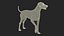 Perro dálmata preparado para Cinema 4D