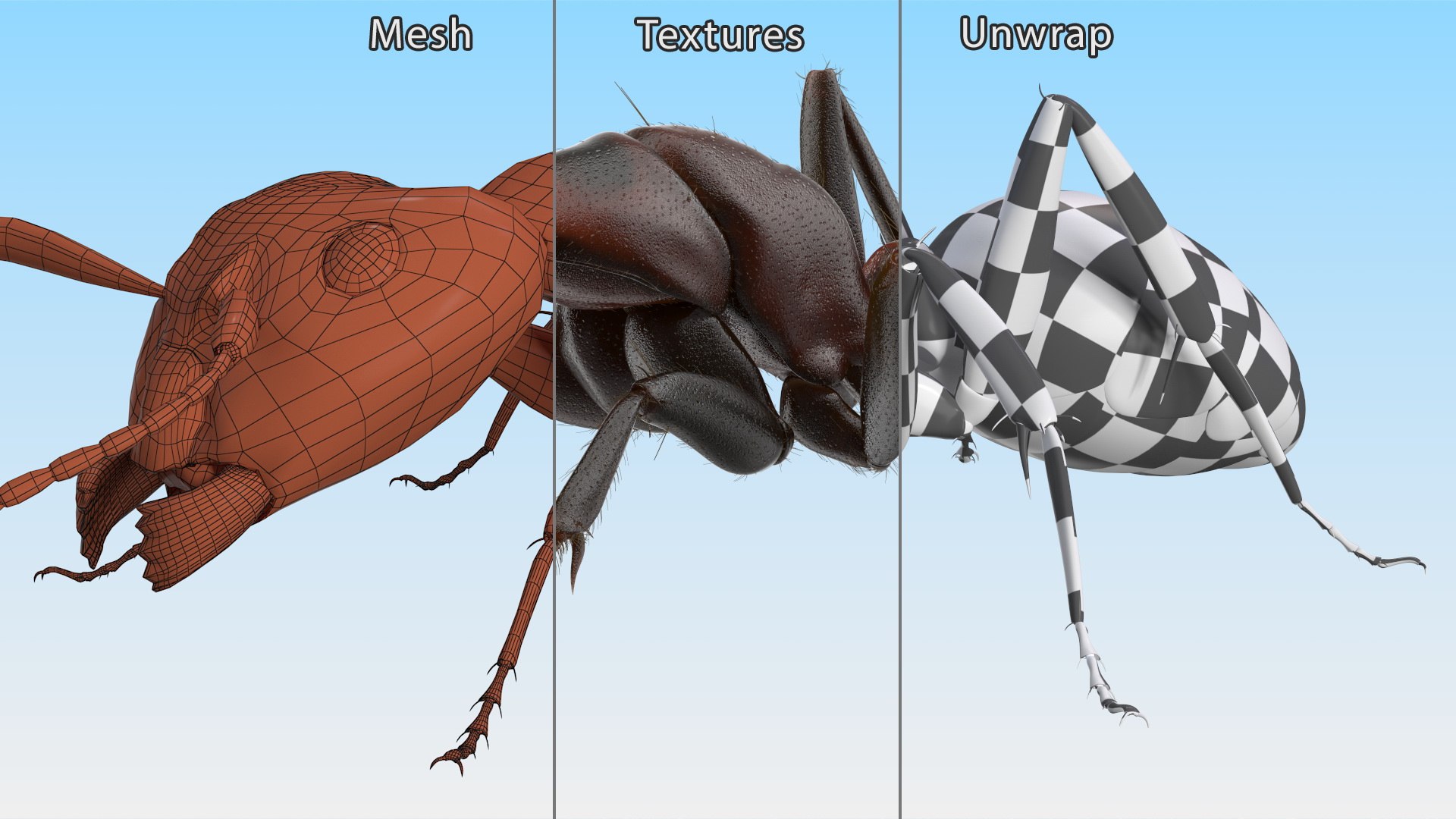 Realistic Ant Insect Fur model https://p.turbosquid.com/ts-thumb/Q6/BT3SK0/Oq/realistic_ant_insect_fur_016/jpg/1738328381/1920x1080/fit_q87/f7c502ef881621d26ea6fc915c79fb5318f22f92/realistic_ant_insect_fur_016.jpg