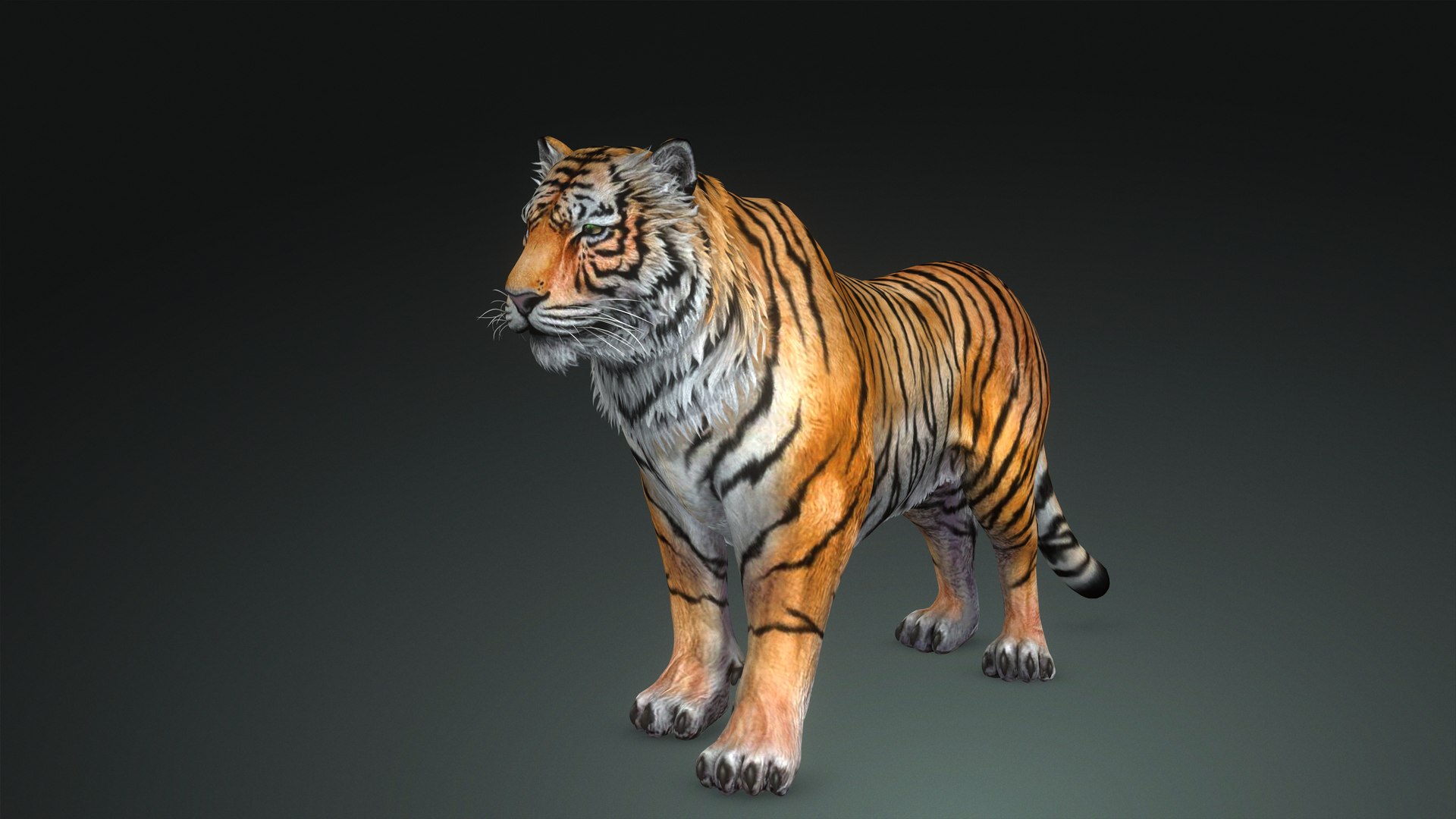 3D модель TIGER KING RIGGED RDAM MODEL - TurboSquid 1996599