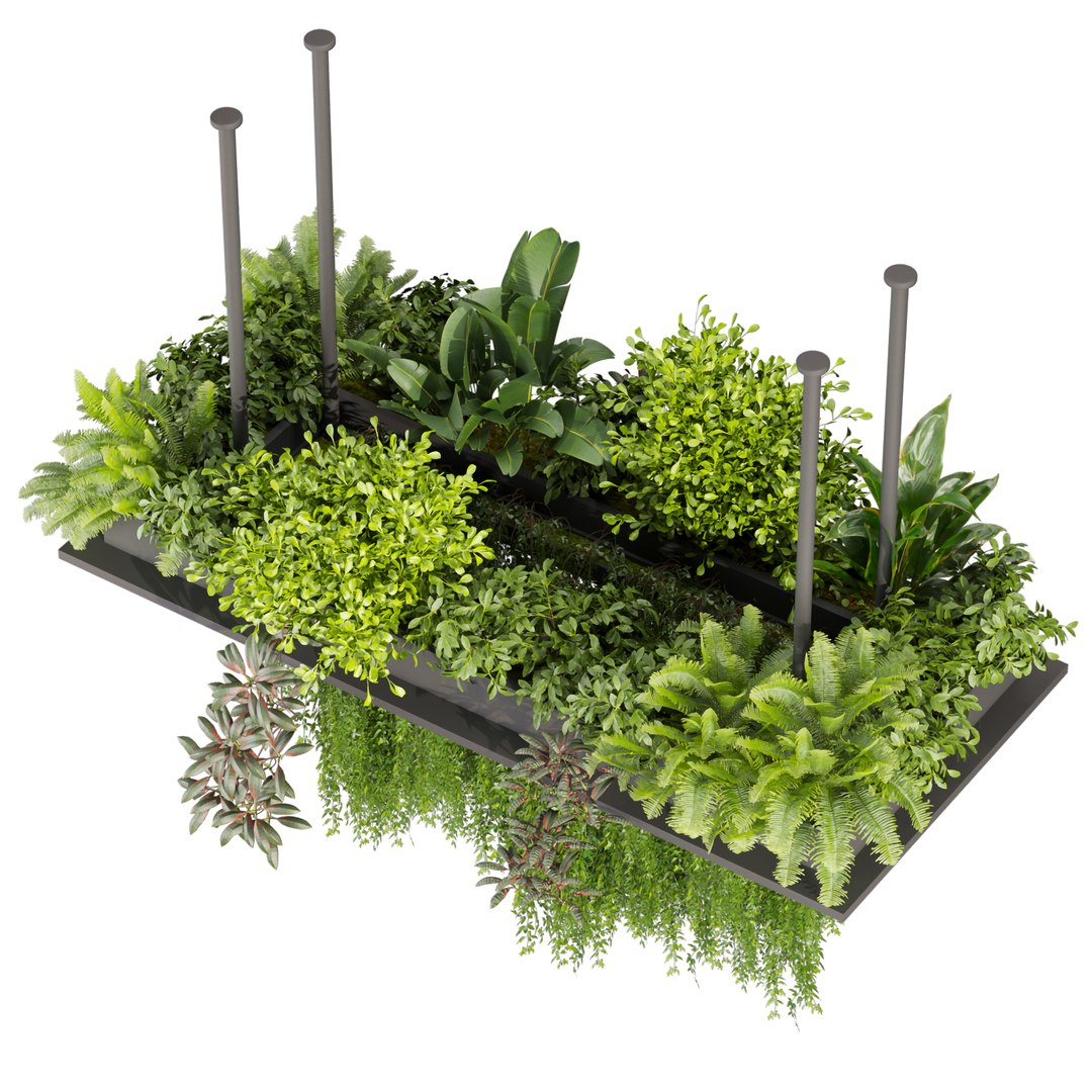 Collection plant vol 543 - ampelous - ivy - bush 3D https://p.turbosquid.com/ts-thumb/Q6/M5Gfq3/W3/4/jpg/1698683003/1920x1080/fit_q87/1bccd2ac3cc26e29713b6c69ca35f1c21c9415a0/4.jpg
