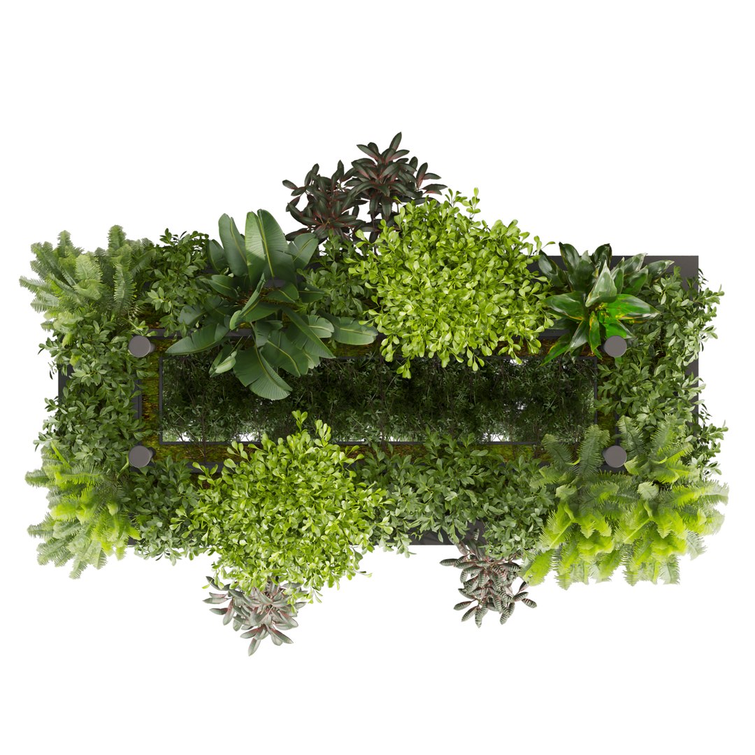 Collection plant vol 543 - ampelous - ivy - bush 3D https://p.turbosquid.com/ts-thumb/Q6/M5Gfq3/do/6/jpg/1698683004/1920x1080/fit_q87/06a91441660837131d29ac4bd74ee30f726bca0c/6.jpg