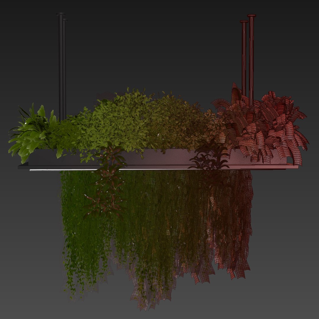 Collection plant vol 543 - ampelous - ivy - bush 3D https://p.turbosquid.com/ts-thumb/Q6/M5Gfq3/zz/7/jpg/1698683005/1920x1080/fit_q87/a1b77970e10ae42e7e975fa89505ef84c7907c28/7.jpg