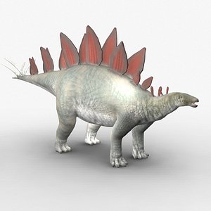 Stegosaurus Model