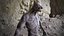 Werewolf Monster