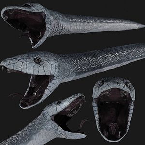 black mamba snake 3D model