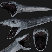 Black Mamba black snake