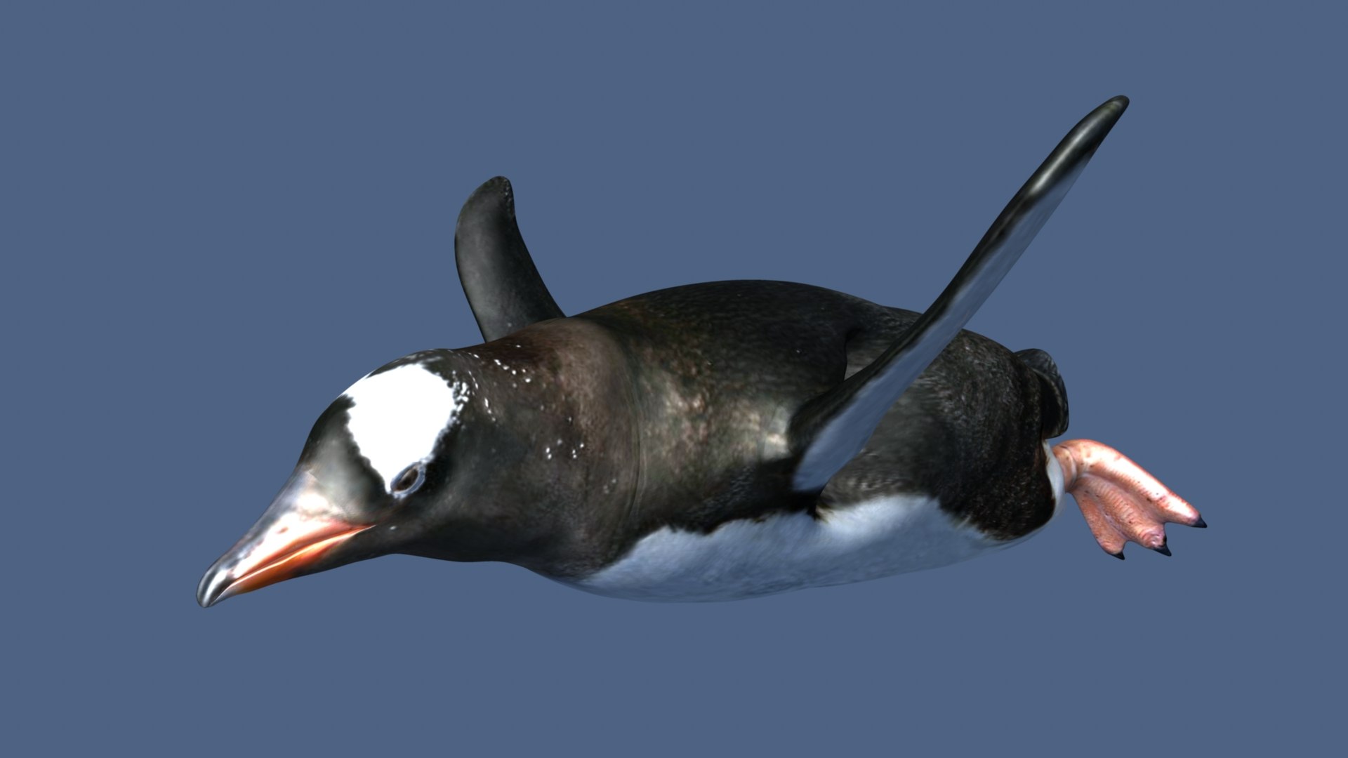 Penguin 3D - TurboSquid 2194916