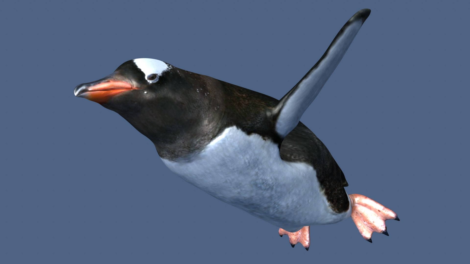 Penguin 3D - TurboSquid 2194916