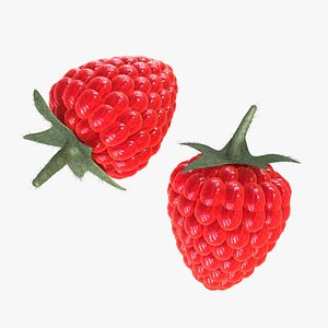 fruits 3D