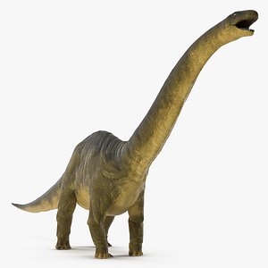 3d apatosaurus dinosaur model