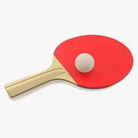 Ping Pong Paddle and Ball