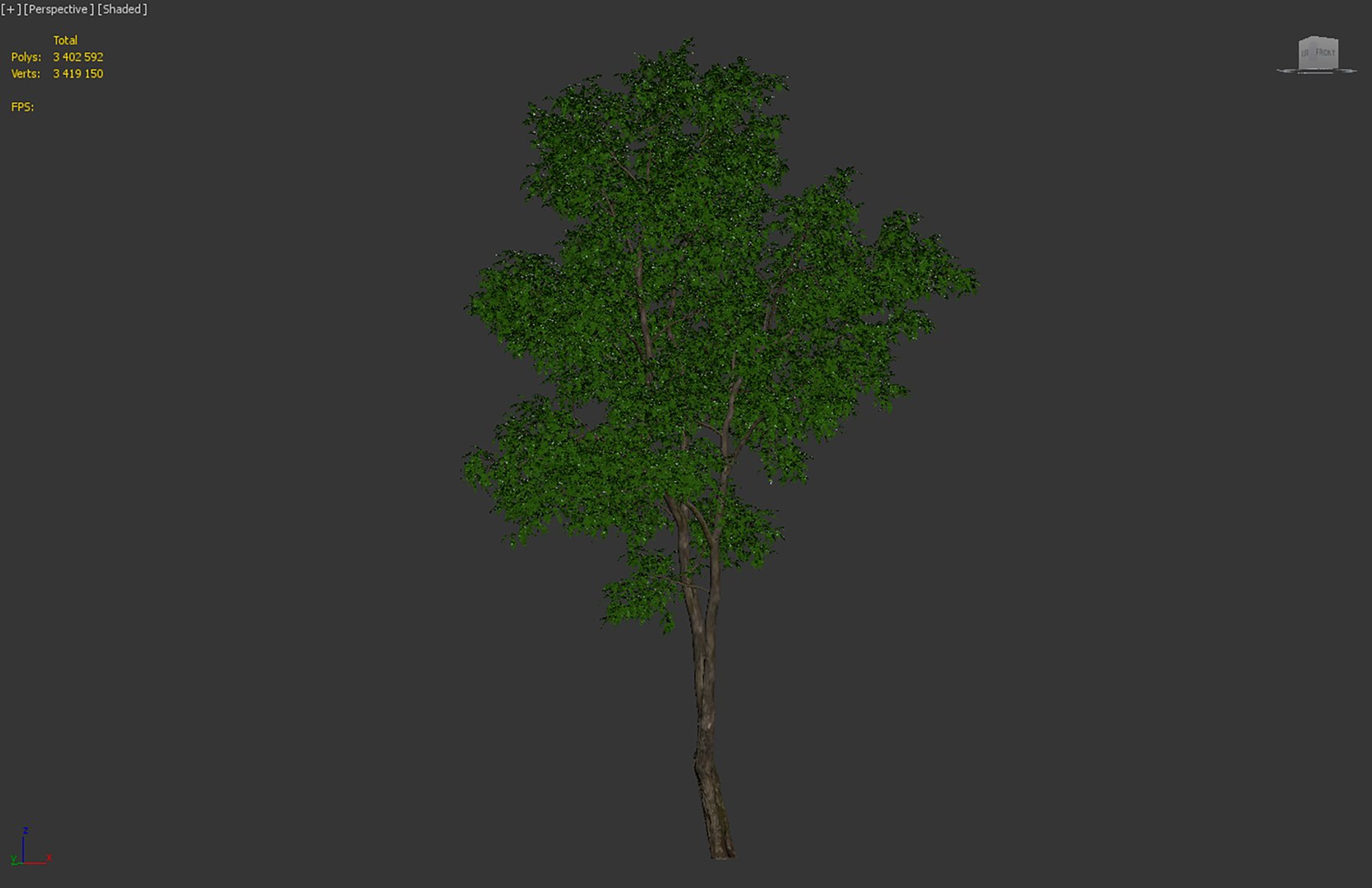 acacia tree 3D https://p.turbosquid.com/ts-thumb/Q6/nKpzmW/ES/4/jpg/1614425999/1920x1080/fit_q87/9ab27aa1e9351f117ccec7d33fdbd646262f6b09/4.jpg