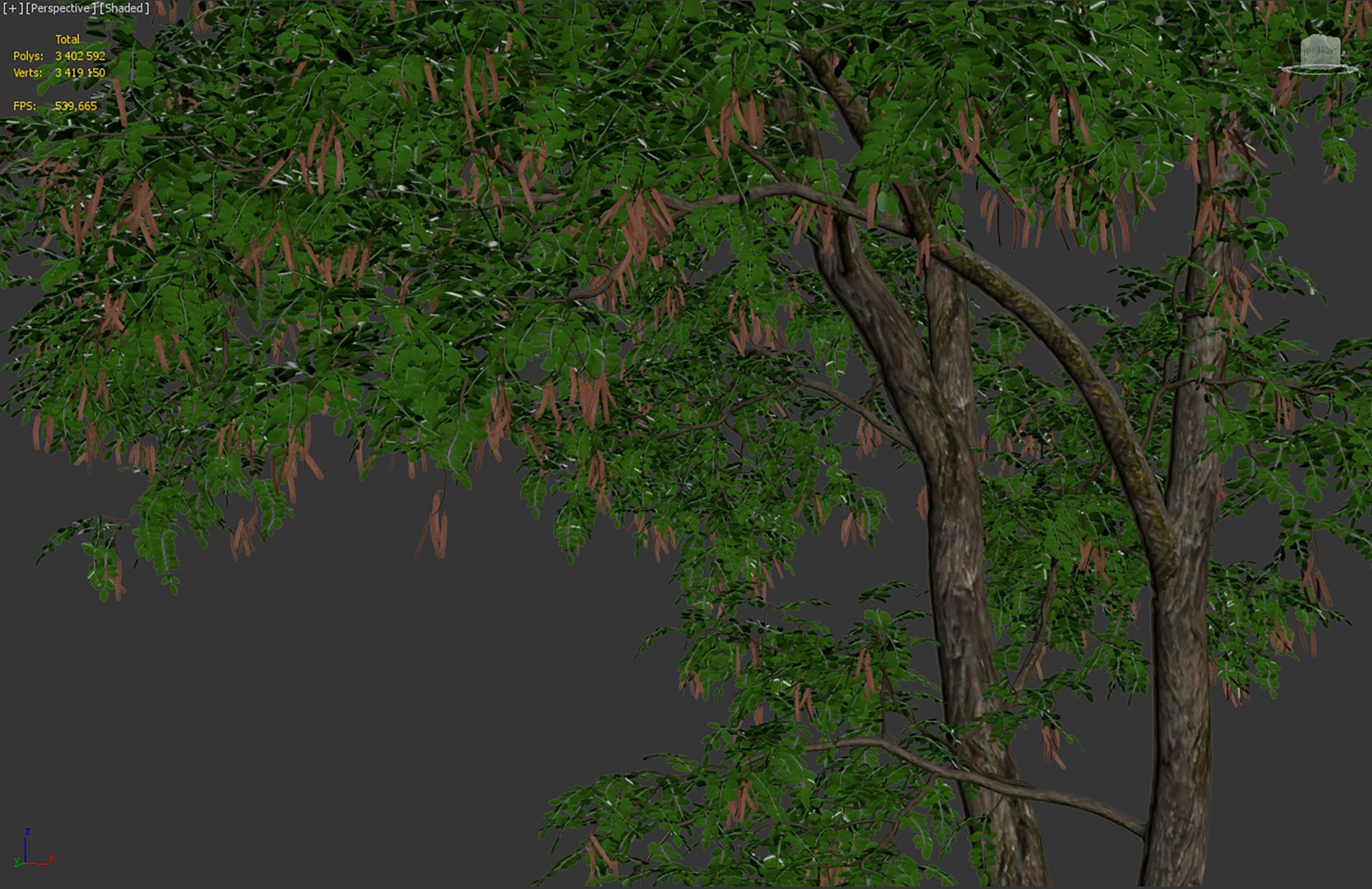 acacia tree 3D https://p.turbosquid.com/ts-thumb/Q6/nKpzmW/gA/5/jpg/1614426004/1920x1080/fit_q87/e8d600d858177a021f3514d56992d35a1677e239/5.jpg