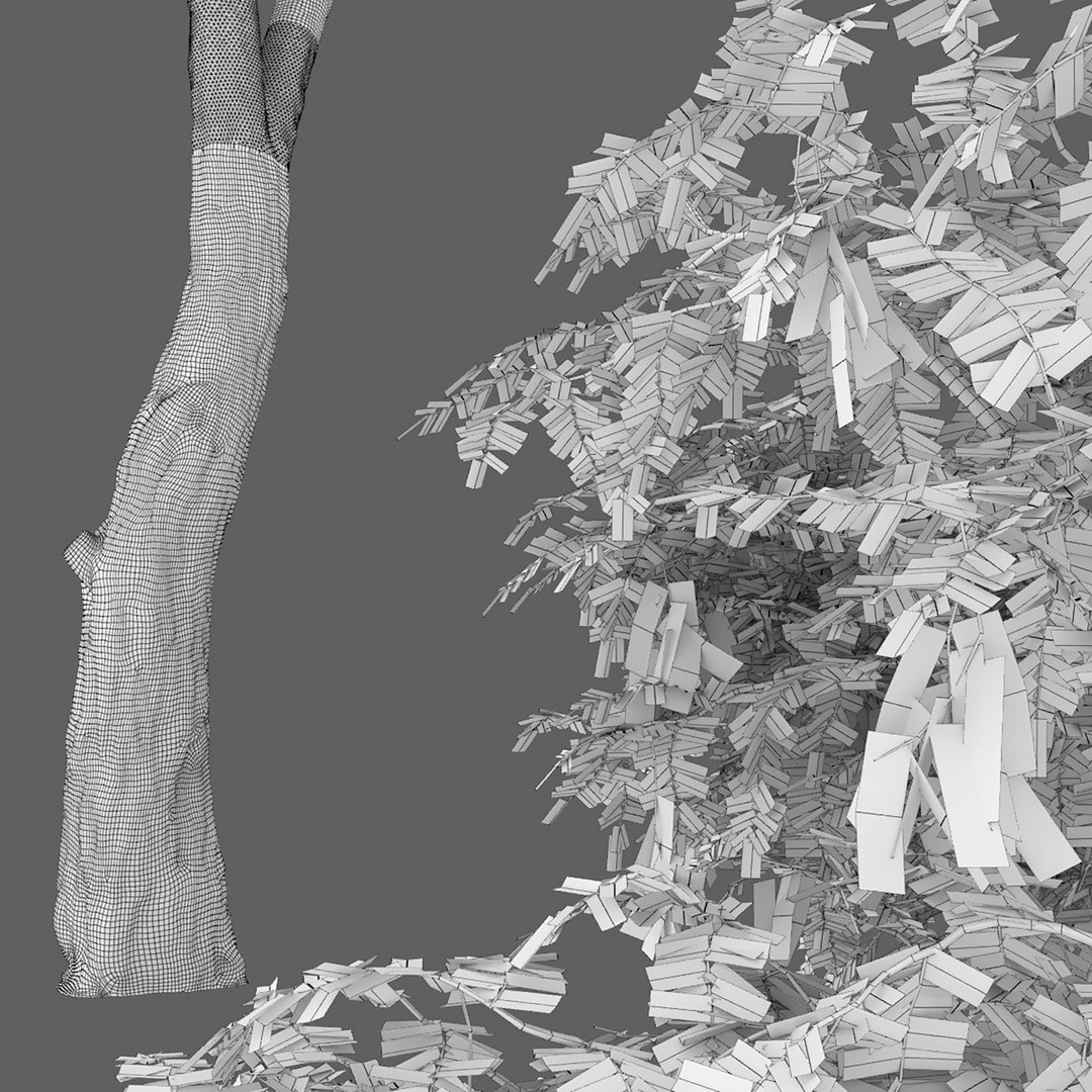 acacia tree 3D https://p.turbosquid.com/ts-thumb/Q6/nKpzmW/rM/4/jpg/1614426277/1920x1080/fit_q87/8c62c81c10241c9d48038b334ac378349b17a785/4.jpg