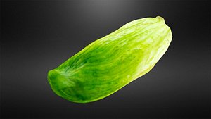 Stew cucumber
