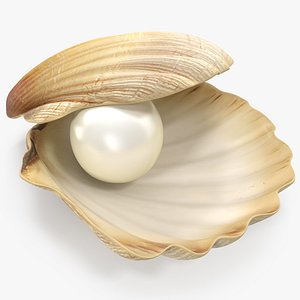 pearl shell 3D model