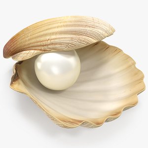 Pearl in Shell