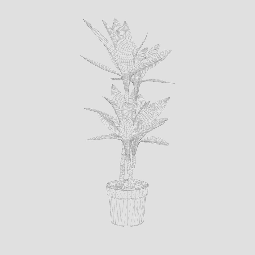 3D Dracaena Janet Lind model https://p.turbosquid.com/ts-thumb/Q7/PU48aA/Uw/preview_7/jpg/1720436068/1920x1080/fit_q87/7092863fb07aa11c184128ad1cac4afa98a99a05/preview_7.jpg