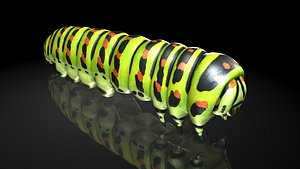 3D larva butterfly