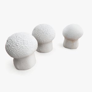 3d puffball mushroom 2