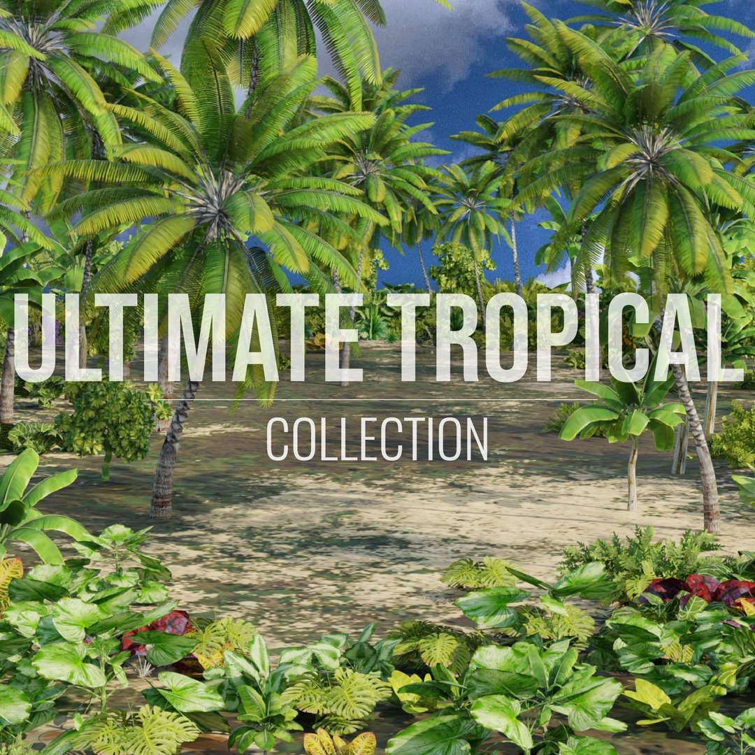 3D ultimate tropical trees https://p.turbosquid.com/ts-thumb/Q7/ghbyeD/Qr/cover1200x120001/png/1614255145/1920x1080/fit_q87/af3bd3e72a7980fd8f056a64ee26ca6c158d187d/cover1200x120001.jpg