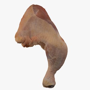 3D Chicken Leg Thigh 02 RAW Scan