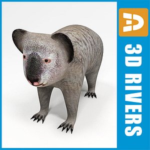 3d model of koala animals