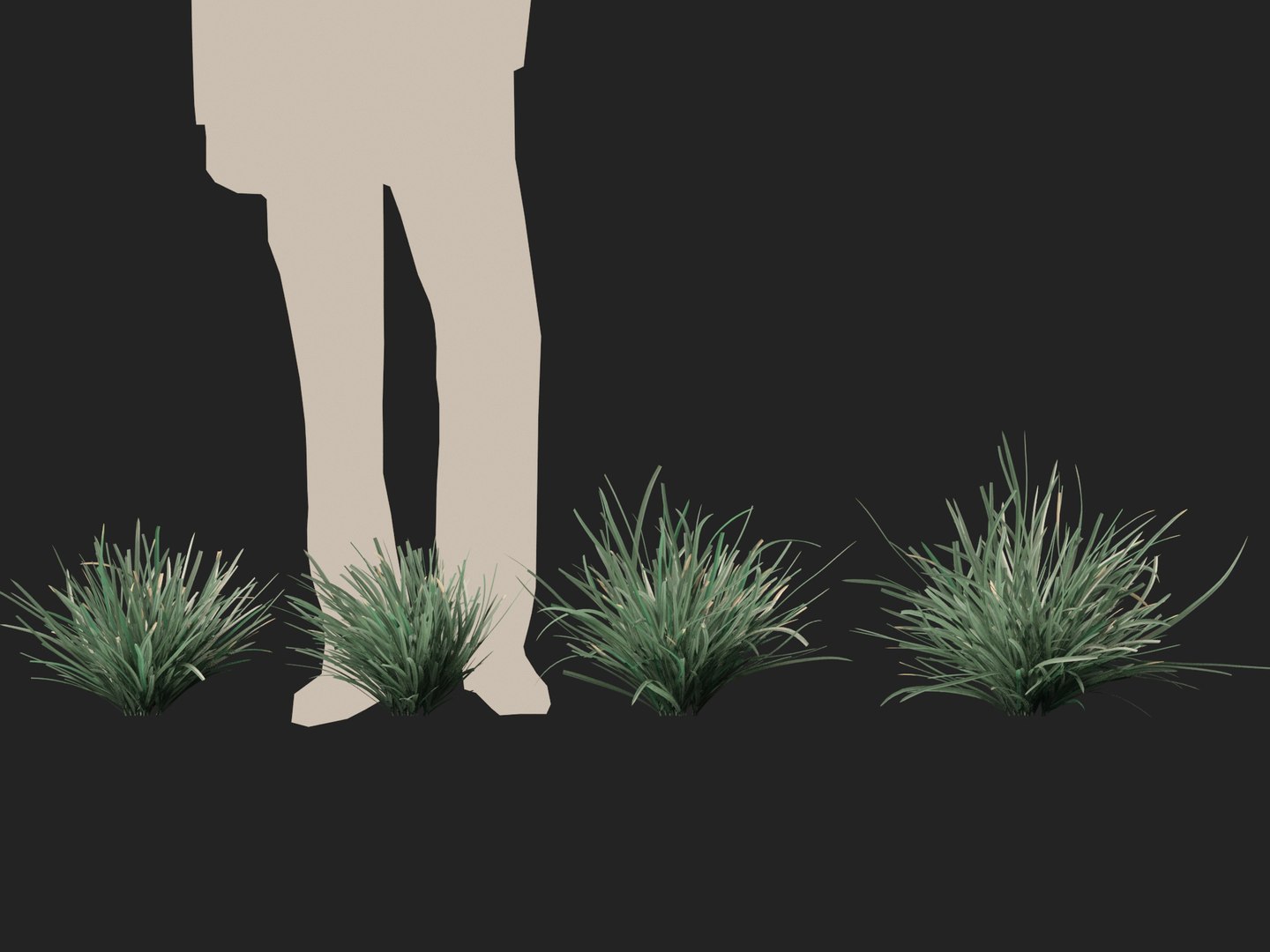HighpolyLow Poly Lomandra Filiformis Savanna Blue - Wattle Mat-Rush 3D ...