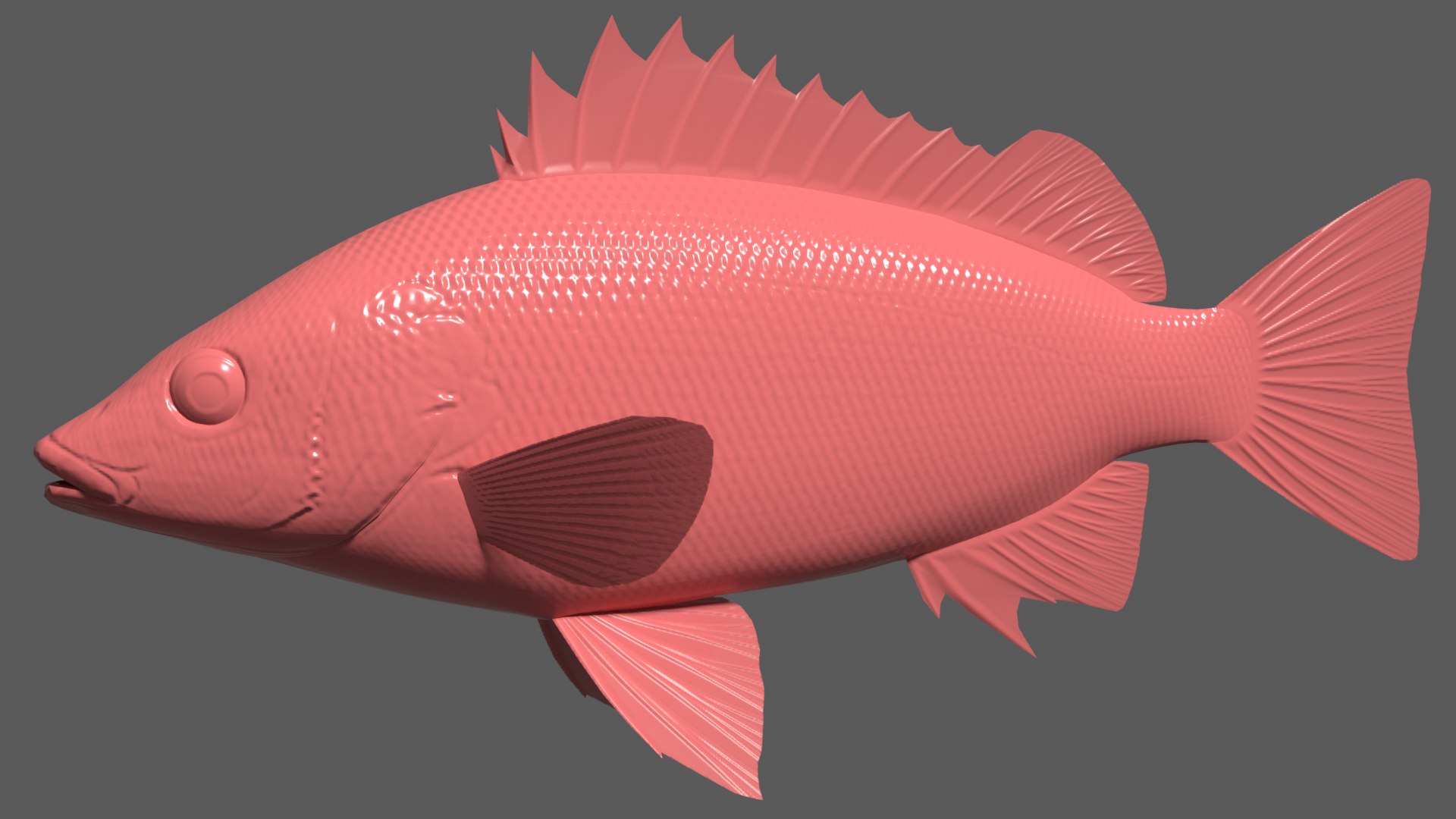 3d rhynchopelates oxyrhynchus swimming model https://p.turbosquid.com/ts-thumb/Q8/NhZftE/BQ/simaisakibump/png/1633173697/1920x1080/fit_q87/d7374164c8c44cffdedaa39e61d20581e524d6ec/simaisakibump.jpg