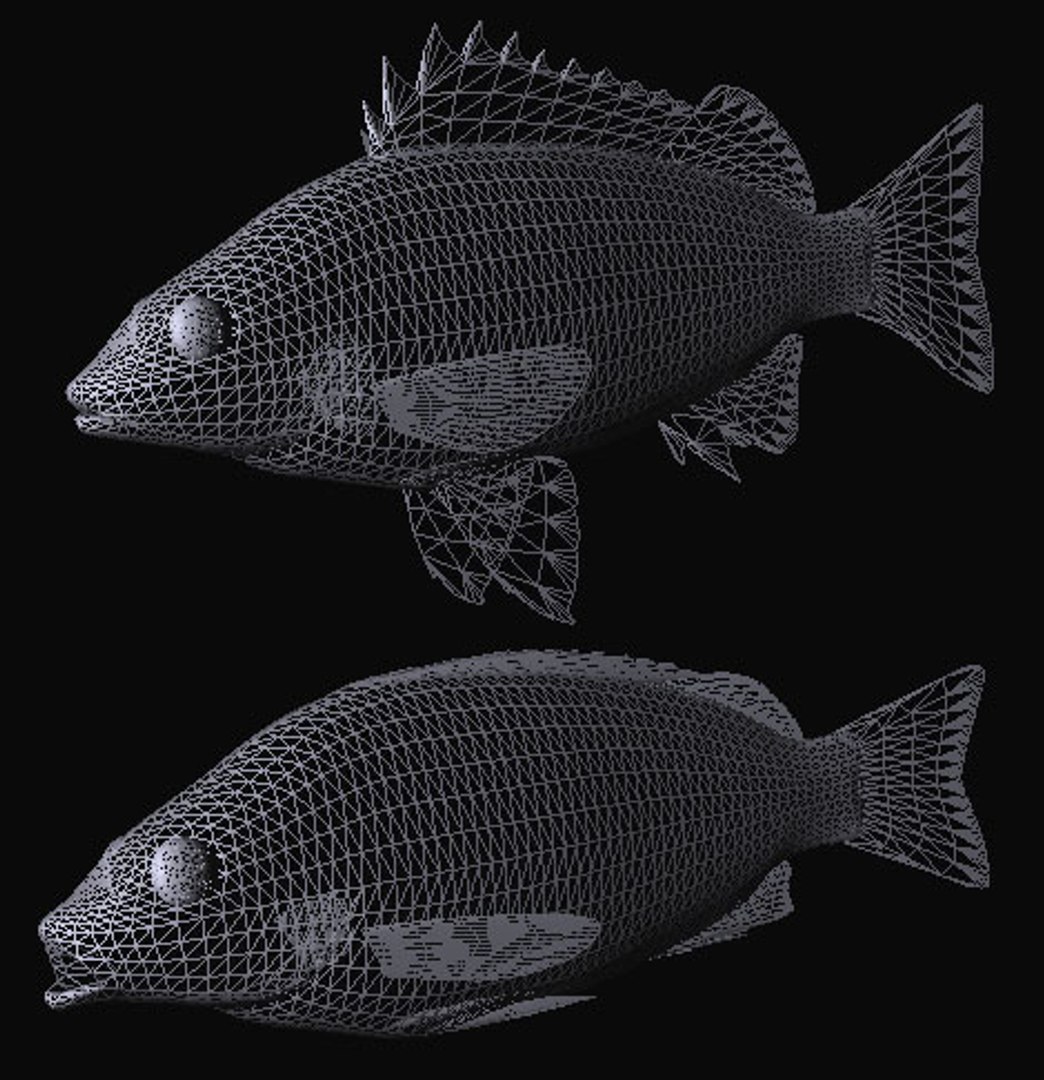3d rhynchopelates oxyrhynchus swimming model https://p.turbosquid.com/ts-thumb/Q8/NhZftE/DPS81A9F/simad/jpg/1446816997/1920x1080/fit_q87/6f20a471d28891239db131e2110290e177a989b0/simad.jpg