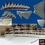 Sharpnose tigerfish