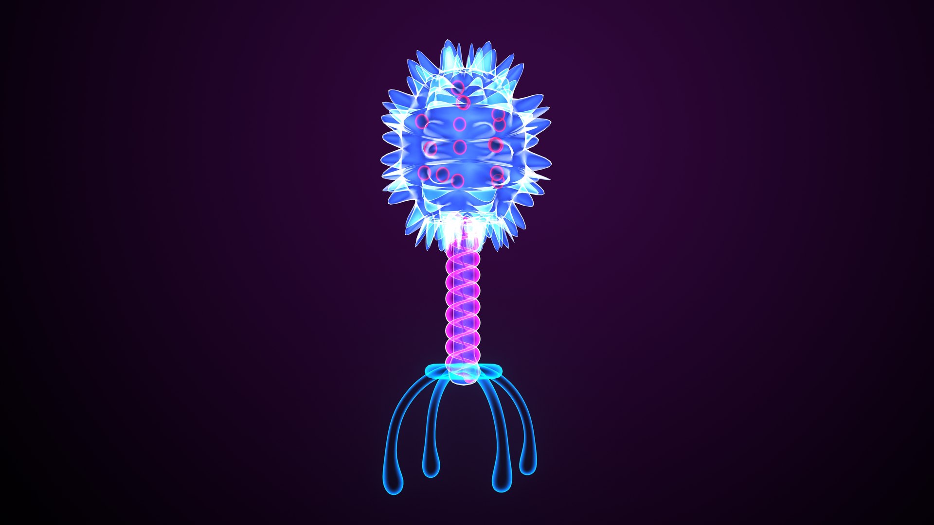 Bacteria Anatomy 3D Model - TurboSquid 2262175