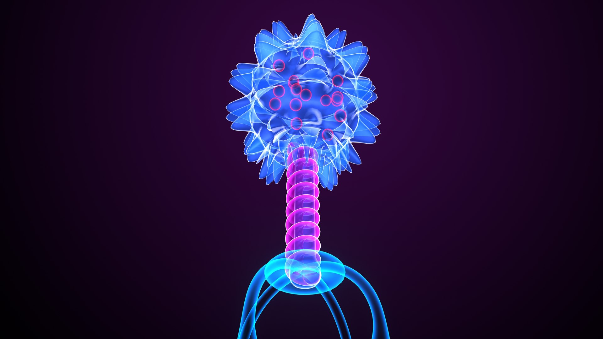 Bacteria Anatomy 3D Model - TurboSquid 2262175