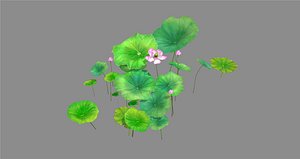 Cartoon lotus flowers and lotus leaves - A 3D