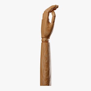 Wooden Arm 3D model